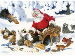 COBBLE HILL Rodinné puzzle Santa so zvieracími priateľmi 350 dielikov