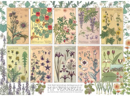 COBBLE HILL Puzzle Botanika od Verneuila 1000 dielikov