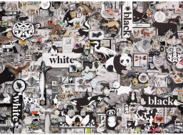 COBBLE HILL Puzzle Čierna a biela: Zvieratá 1000 dielikov