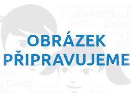 Mudpuppy Puzzle Piknik v lese 500 dielikov