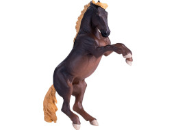 Mojo Žrebec Brumby
