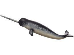 Mojo Narval