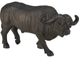 Mojo Byvol africký
