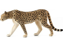 Mojo Gepard