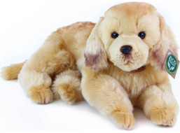 Rappa Plyšový pes zlatý retriever ležiaci 32 cm ECO-FRIENDLY