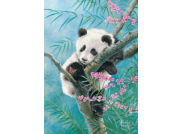 CASTORLAND Puzzle Bambusové snívanie 500 dielikov