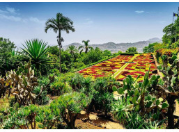 RAVENSBURGER Puzzle Kúzelné záhrady: Botanická záhrada, Madeira 1000 dielikov
