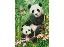CASTORLAND Puzzle Pandí brunch 300 dielikov