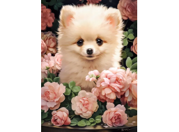 CASTORLAND Puzzle Šteňa Pomeraniana v ružiach 300 dielikov