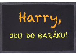 Rohožka Harry, idem do baraku 40x60 cm