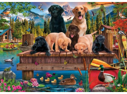SCHMIDT Puzzle Psia rodinka pri jazere 1000 dielikov
