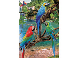 EUROGRAPHICS Puzzle Save Our Planet: Papagáje Ara XL 250 dielikov