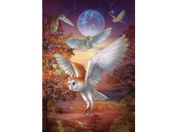 ART PUZZLE Puzzle Nočné sovy 1000 dielikov