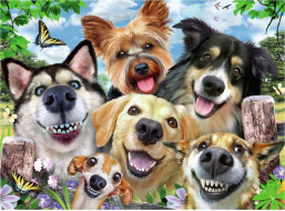 RAVENSBURGER Puzzle Psie selfie 500 dielikov