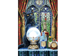 TREFL Puzzle Premium Plus Magic Collection: Čarodejný učeň 1000 dielikov