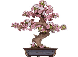 RoboTime 3D drevená skladačka Bonsaj sakura