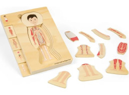 Bigjigs Toys Drevené puzzle Anatómia chlapec
