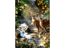 NORIMPEX Diamantové maľovanie Jeleň a srnka pri lesnom potoku 30x40cm