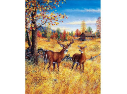 NORIMPEX Diamantové maľovanie Jelene na poli 30x40cm
