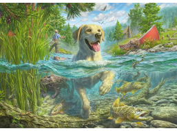 SCHMIDT Puzzle Labrador na rybách 1000 dielikov