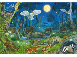 SCHMIDT Puzzle Lesné zvieratká v noci 100 dielikov