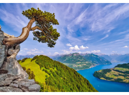 CASTORLAND Puzzle Pohľad na jazero Uri, Švajčiarsko 1000 dielikov