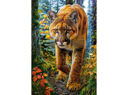 CASTORLAND Puzzle Puma americká v lese 1500 dielikov