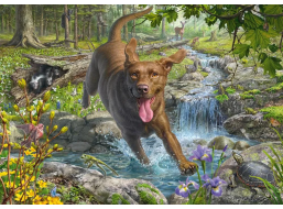 SCHMIDT Puzzle Retriever na jar 1000 dielikov