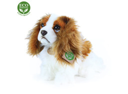 Rappa Plyšový pes King Charles španiel 25 cm