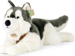 Rappa Plyšový pes husky s obojkom ležiaci 60 cm ECO-FRIENDLY