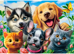 CASTORLAND Puzzle Zvieracie selfie 70 dielikov