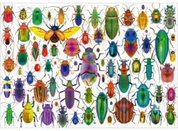 EDUCA Puzzle Chrobáky 500 dielikov