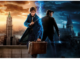 AQUARIUS Puzzle Harry Potter: Fantastické zvieratá 1000 dielikov