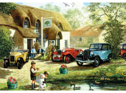 GIBSONS Puzzle Kŕmenie kačíc 500 dielikov