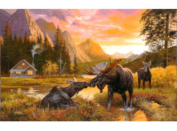 SUNSOUT Puzzle Divoký pokoj 550 dielikov