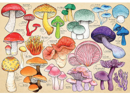 HOP Puzzle Hubová mánia 1000 dielikov