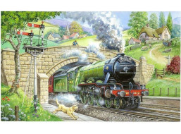 HOP Puzzle Pozorovanie vlakov BIG 250 dielikov