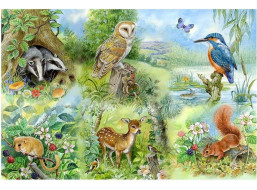 HOP Puzzle Štúdium prírody BIG 250 dielikov