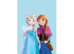 Detská deka POLAR 100x140 cm - Frozen - Elsa a Anna