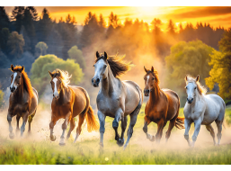 TREFL Puzzle Divé kone 1500 dielikov