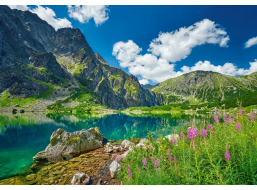CASTORLAND Puzzle Czarny Staw pod Rysami, Tatry, Poľsko 500 dielikov