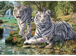 DINO Puzzle Secret Collection: Bieli tigre 1000 dielikov