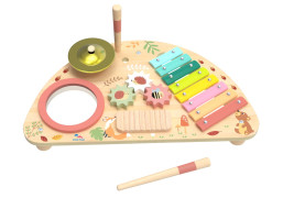 2Kids Toys Multifunkčná hudobná doska