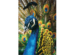 INTERDRUK Puzzle Colorful Nature: Páv 250 dielikov