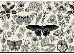 INTERDRUK Puzzle Flowers: Motýle a kvety 500 dielikov
