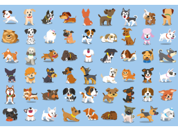 INTERDRUK Puzzle so samolepkami Psíci 250 dielikov