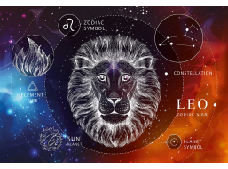 INTERDRUK Puzzle Zverokruh: Lev 250 dielikov