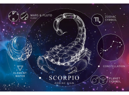 INTERDRUK Puzzle Zverokruh: Škorpión 250 dielikov