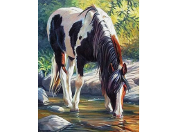 NORIMPEX Diamantové maľovanie Kôň v rieke 30x40cm