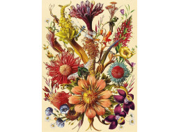 INTERDRUK Puzzle Flowers: Rozprávková kytica 1000 dielikov
